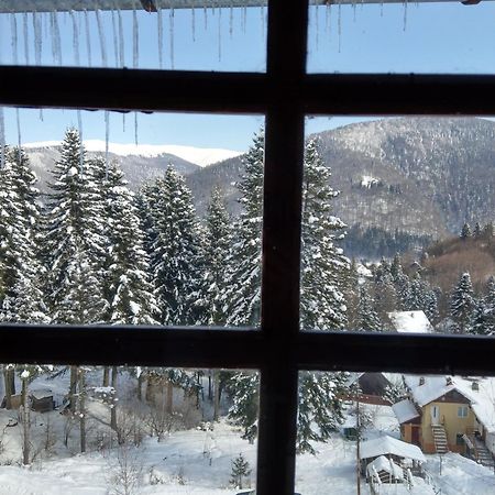 Grandpa'S Hidden Crib, 6 Bedroom, Pet Friendly Sinaia Kültér fotó