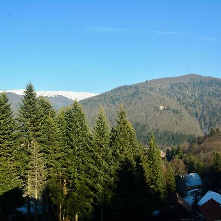 Grandpa'S Hidden Crib, 6 Bedroom, Pet Friendly Sinaia Kültér fotó