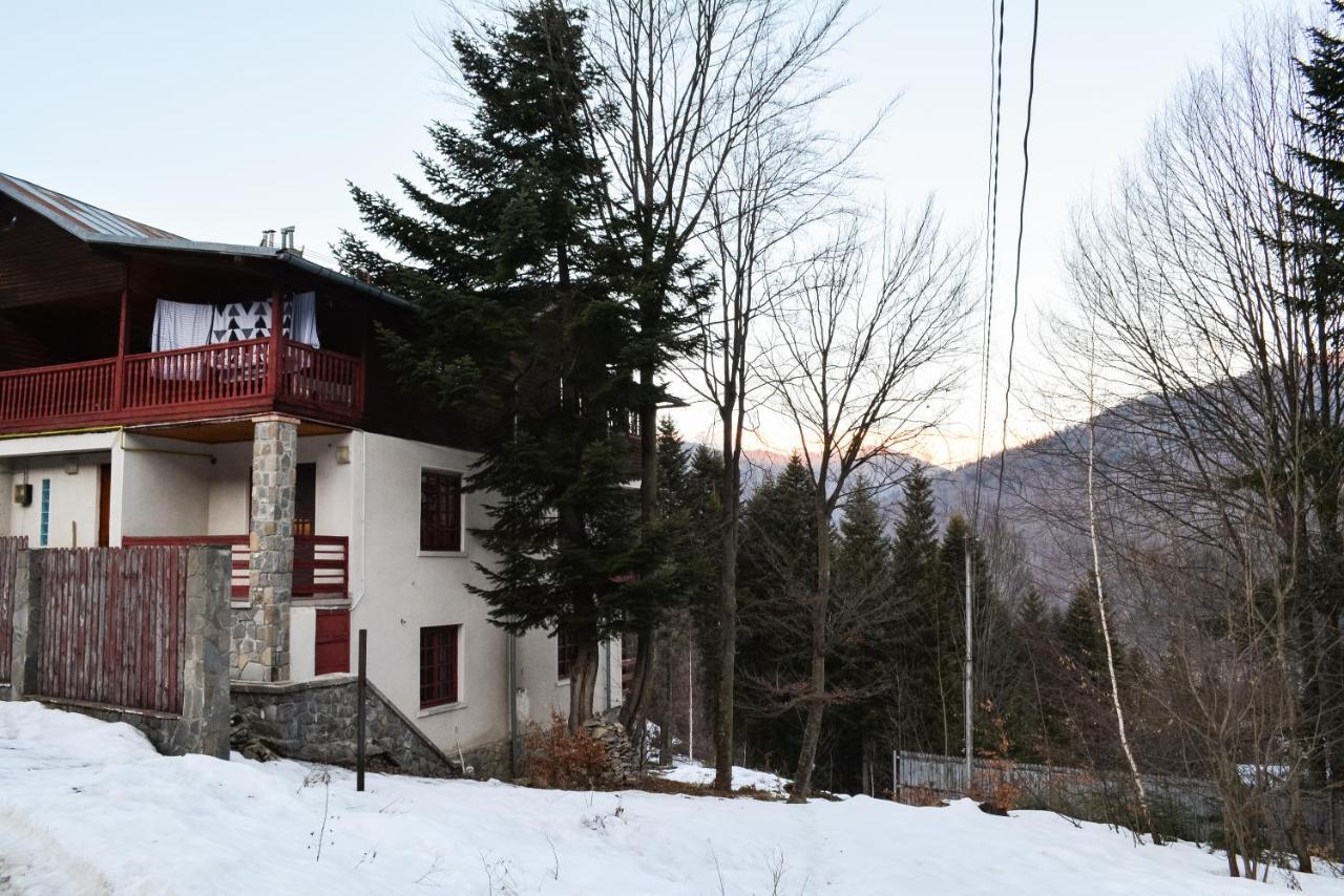 Grandpa'S Hidden Crib, 6 Bedroom, Pet Friendly Sinaia Kültér fotó