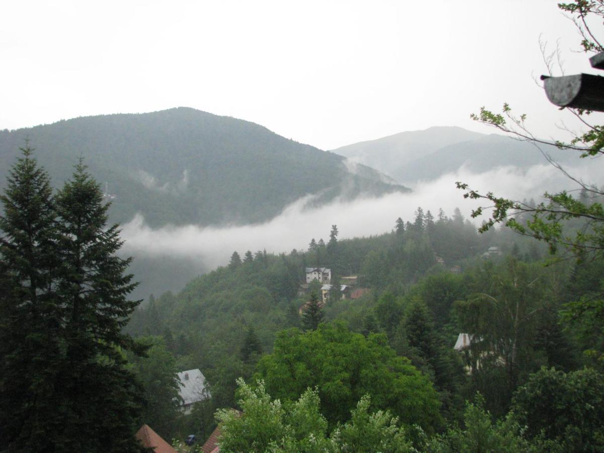 Grandpa'S Hidden Crib, 6 Bedroom, Pet Friendly Sinaia Kültér fotó