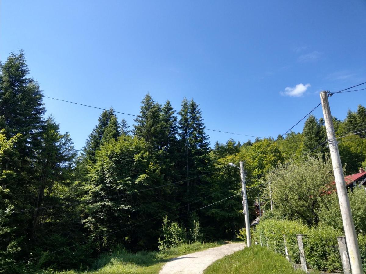 Grandpa'S Hidden Crib, 6 Bedroom, Pet Friendly Sinaia Kültér fotó