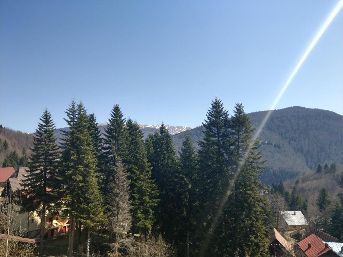 Grandpa'S Hidden Crib, 6 Bedroom, Pet Friendly Sinaia Kültér fotó