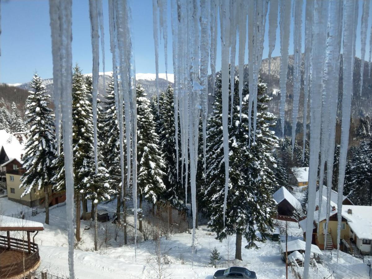 Grandpa'S Hidden Crib, 6 Bedroom, Pet Friendly Sinaia Kültér fotó