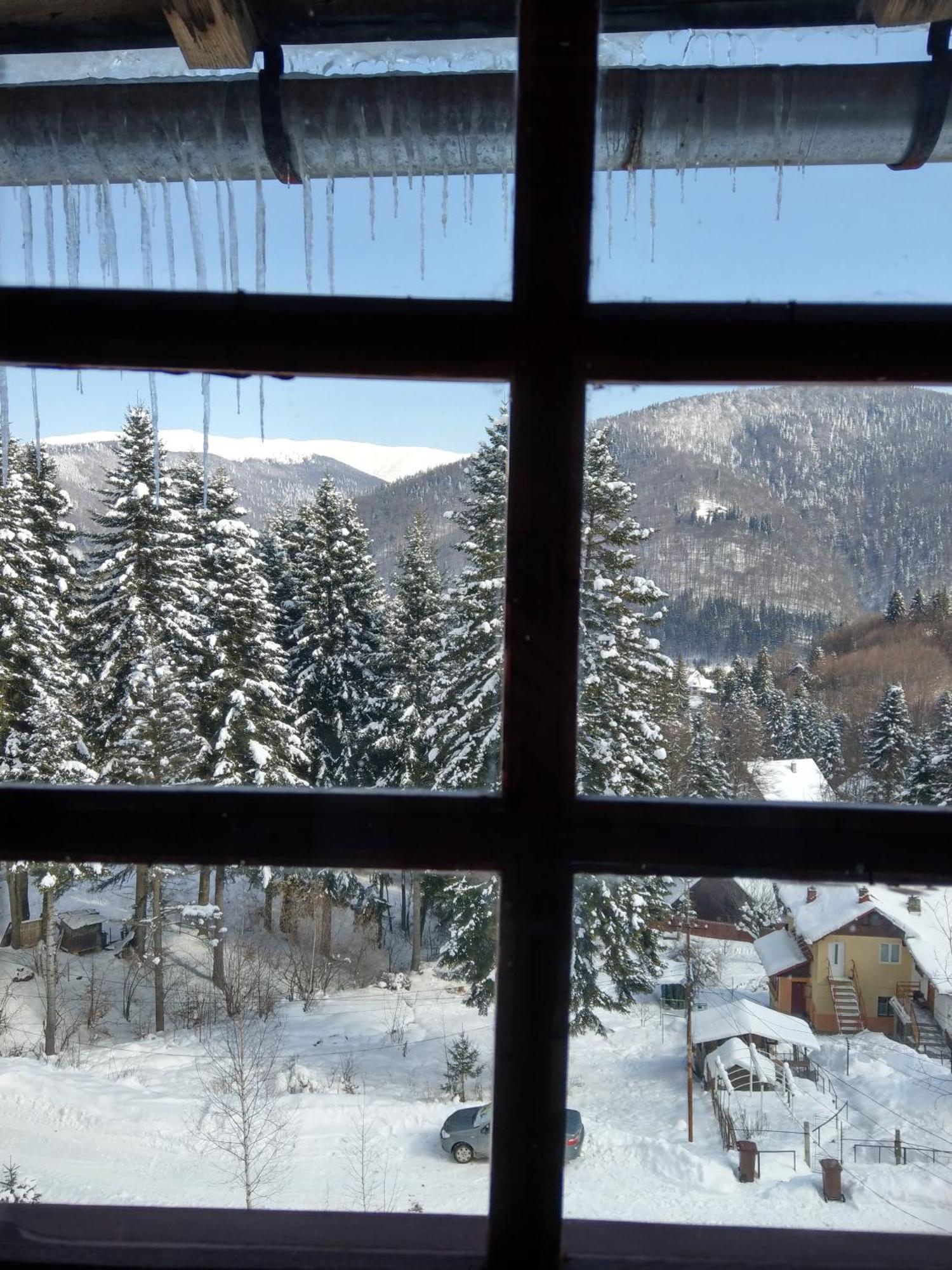 Grandpa'S Hidden Crib, 6 Bedroom, Pet Friendly Sinaia Kültér fotó