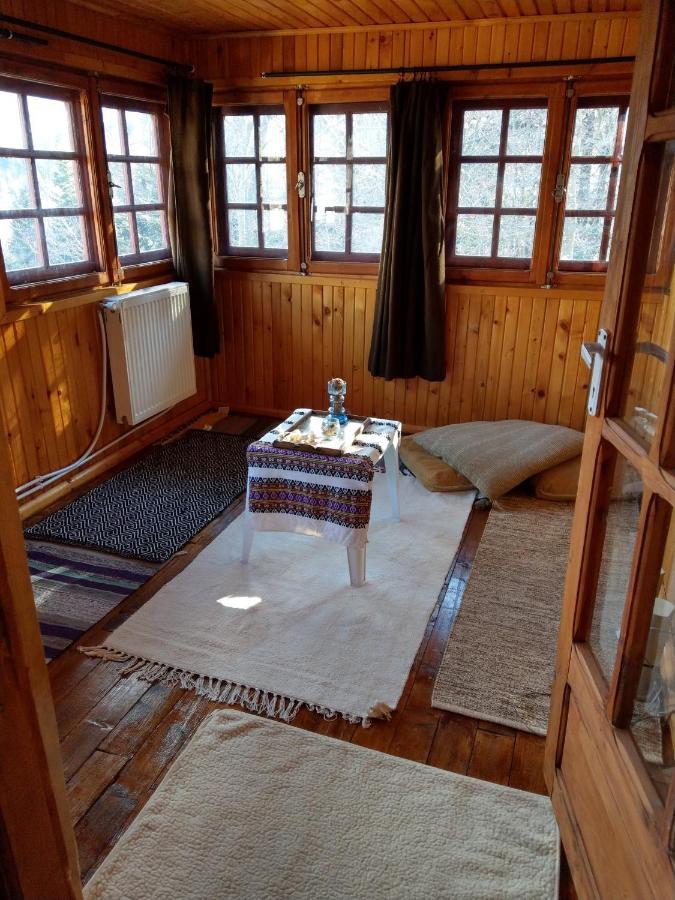 Grandpa'S Hidden Crib, 6 Bedroom, Pet Friendly Sinaia Kültér fotó