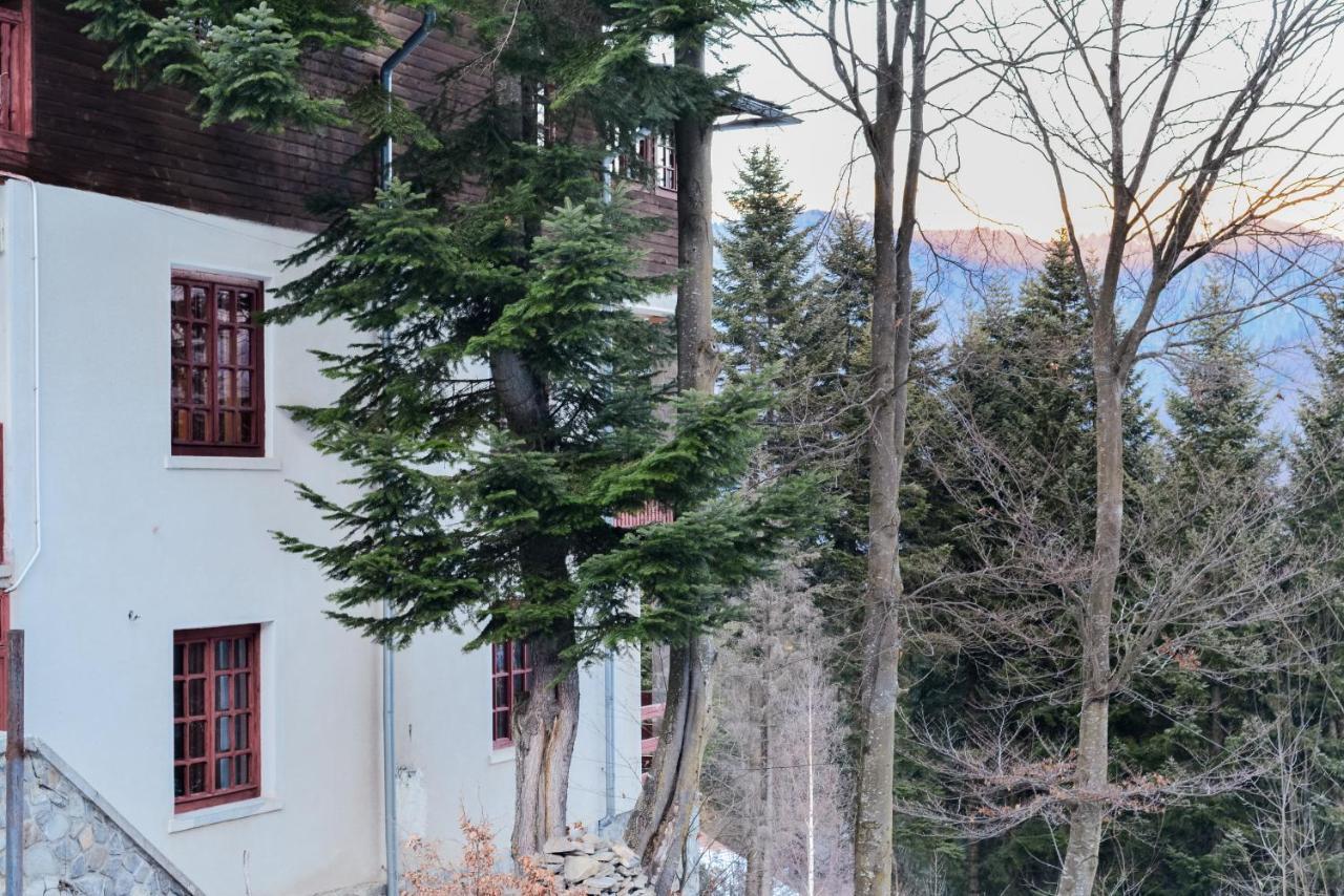 Grandpa'S Hidden Crib, 6 Bedroom, Pet Friendly Sinaia Kültér fotó
