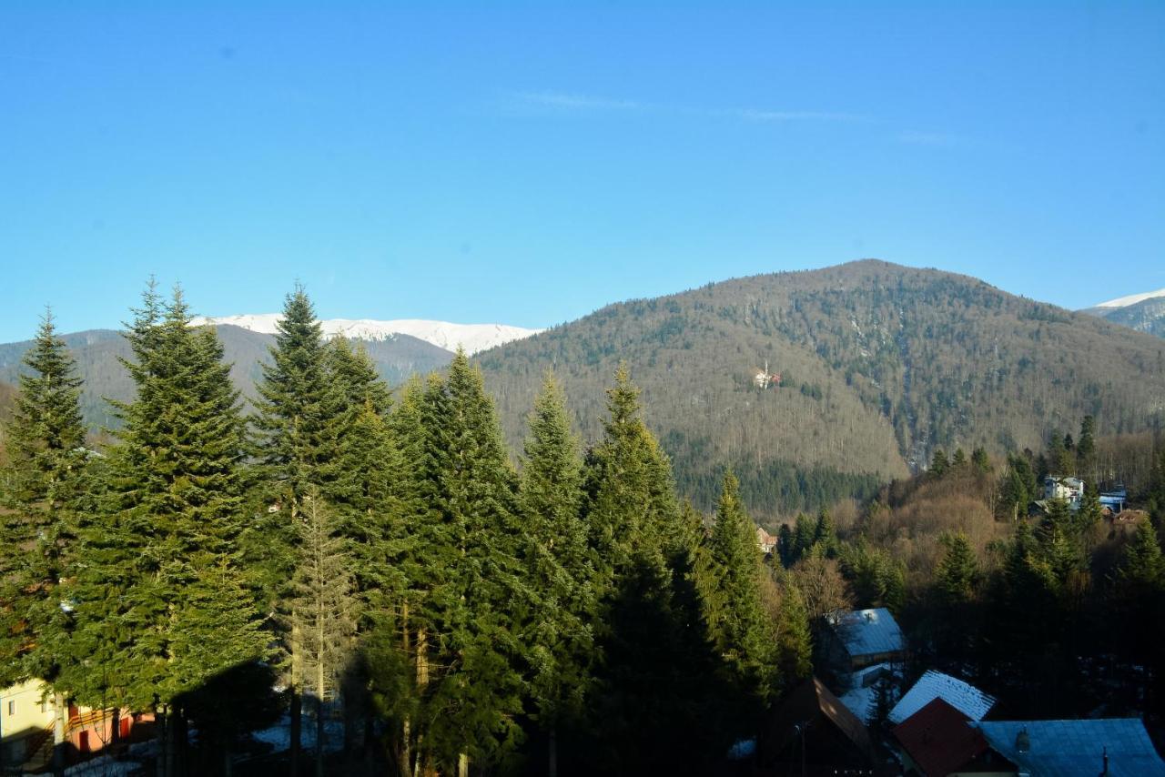 Grandpa'S Hidden Crib, 6 Bedroom, Pet Friendly Sinaia Kültér fotó