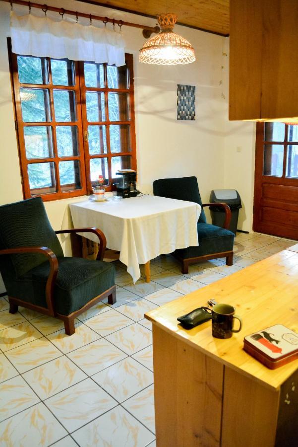 Grandpa'S Hidden Crib, 6 Bedroom, Pet Friendly Sinaia Kültér fotó