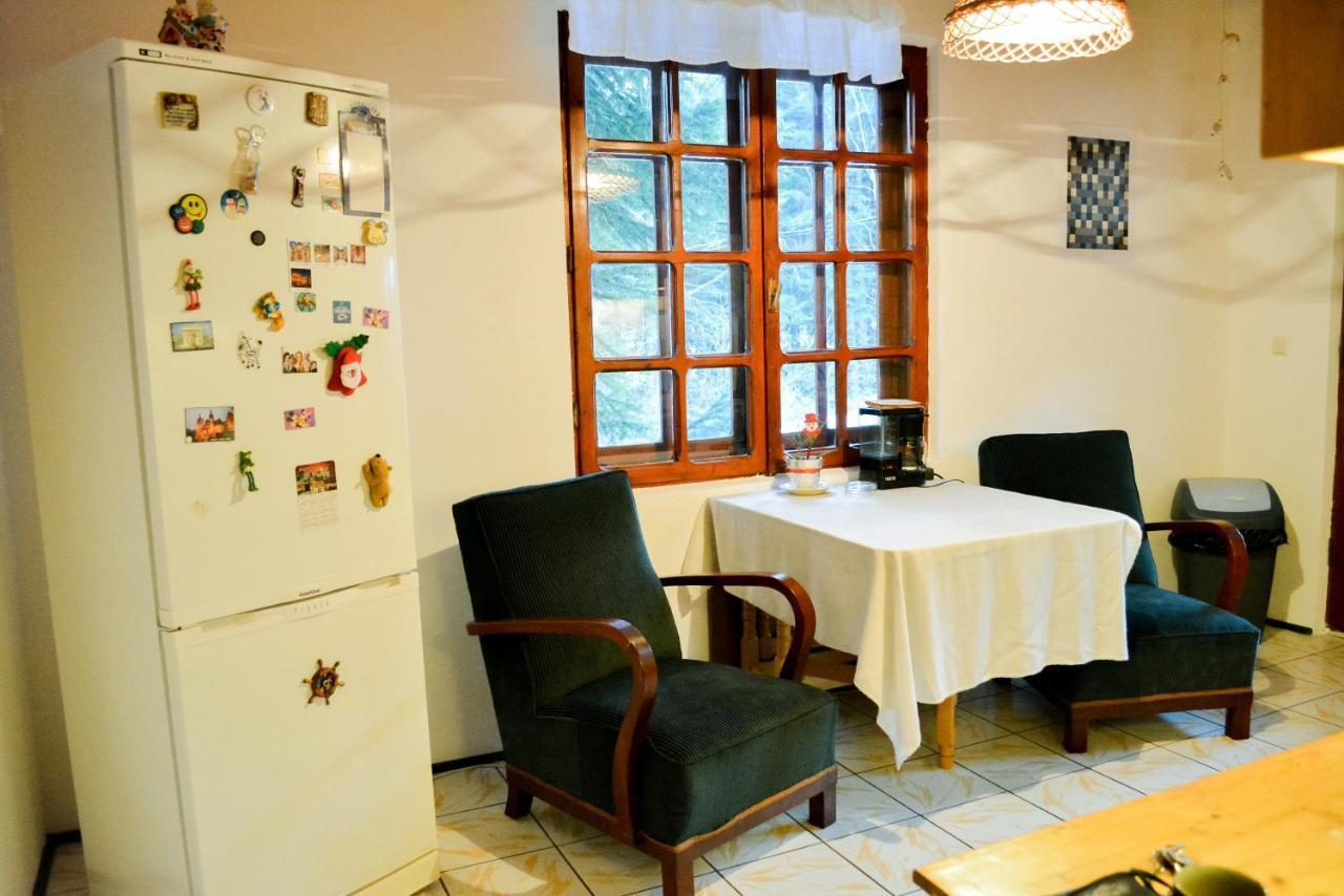 Grandpa'S Hidden Crib, 6 Bedroom, Pet Friendly Sinaia Kültér fotó