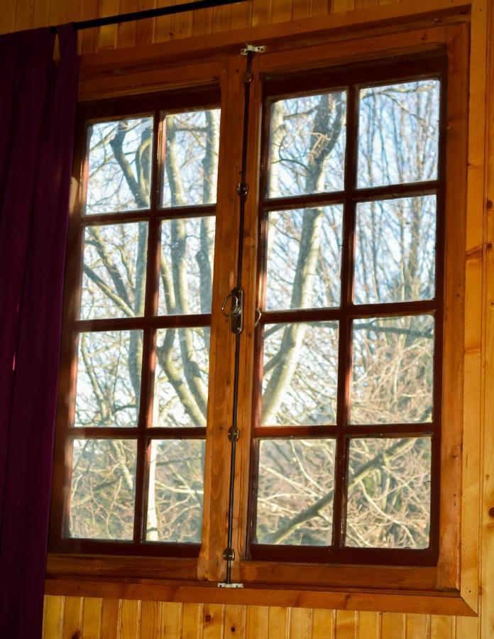 Grandpa'S Hidden Crib, 6 Bedroom, Pet Friendly Sinaia Kültér fotó