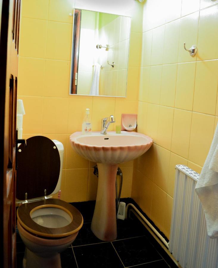Grandpa'S Hidden Crib, 6 Bedroom, Pet Friendly Sinaia Kültér fotó