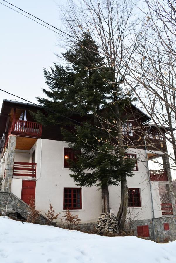 Grandpa'S Hidden Crib, 6 Bedroom, Pet Friendly Sinaia Kültér fotó