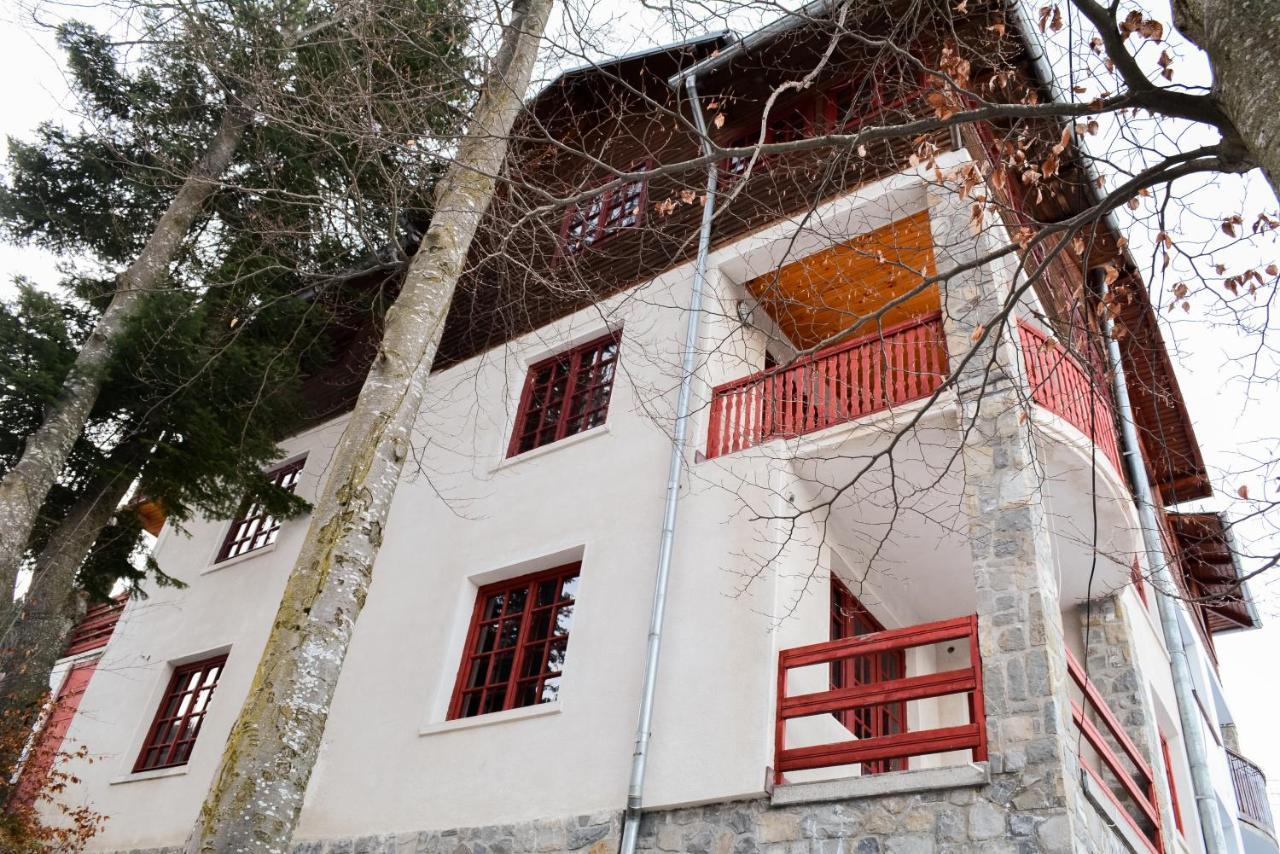 Grandpa'S Hidden Crib, 6 Bedroom, Pet Friendly Sinaia Kültér fotó