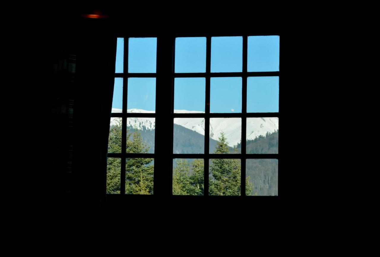 Grandpa'S Hidden Crib, 6 Bedroom, Pet Friendly Sinaia Kültér fotó